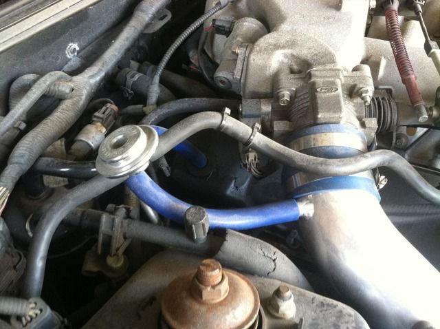 2000 3.8 v6 vacuum lines - MustangForums.com