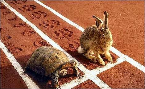 tortoise_vs_hare.jpg