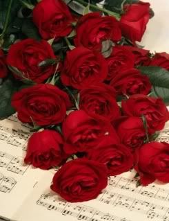 the beauty of red roses