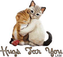 HUGSFORYOUHUGGINGKITTENSTAG.gif