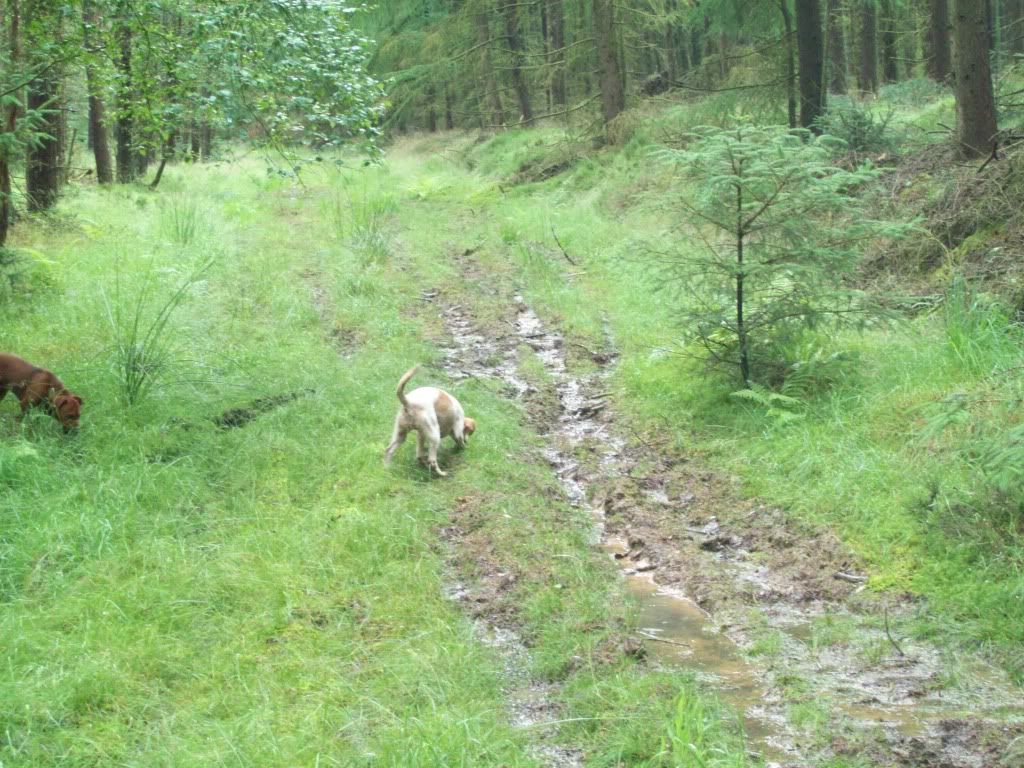 100_1131.jpg