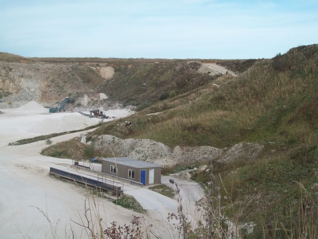 519.jpg