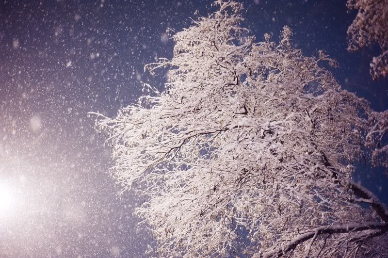 Let it snow
