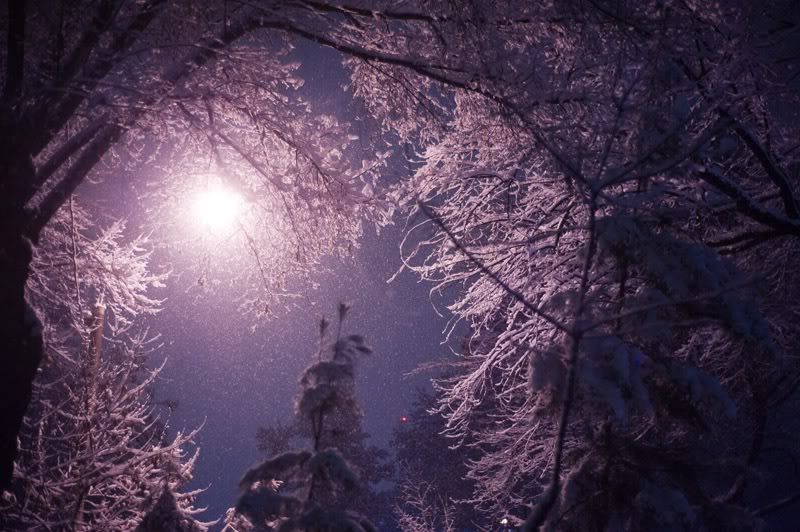 Let it snow