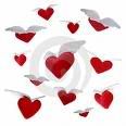 heart Pictures, Images and Photos