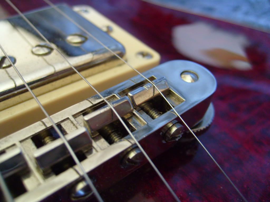 S7003841.jpg