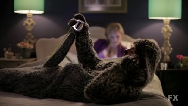 wilfred.jpg