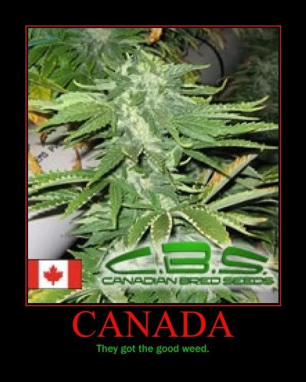 cweed1a.jpg