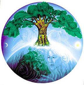 tree-of-life2.jpg