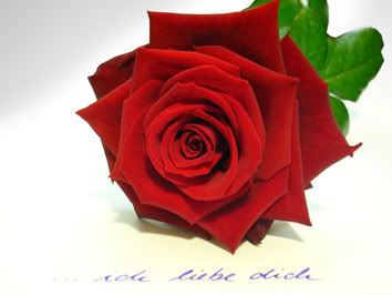 http://i704.photobucket.com/albums/ww46/lady-06105/fantasy/10_GEDICHT_rote_Rose_mit_Ich_liebe_.jpg