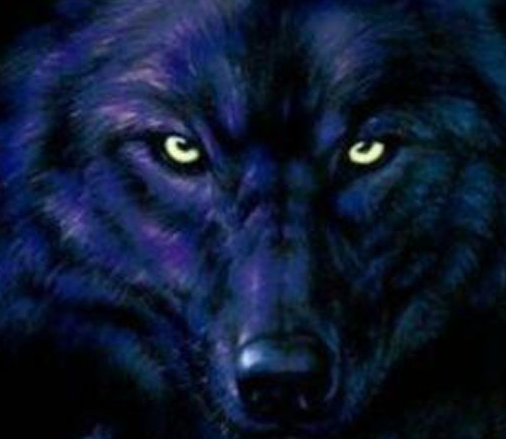 Black20Wolf_zps9919c2cc.png