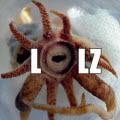 lolz.jpg