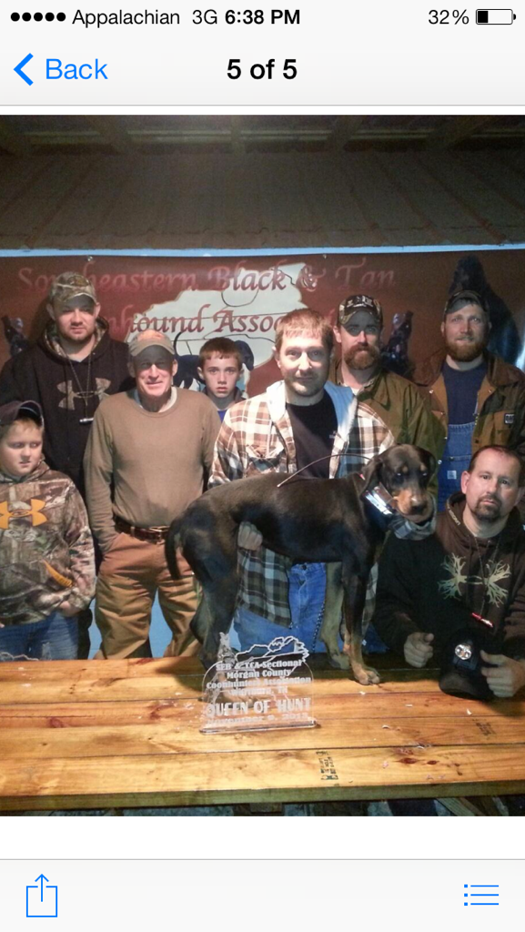 UKC Forums South Eastern Black and Tan Sectional Tennessee Hunt