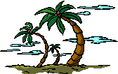 PalmTree.gif image by bgsimp