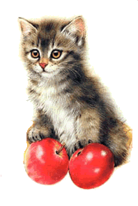 smiley: Cute Kitten - keystrokes: