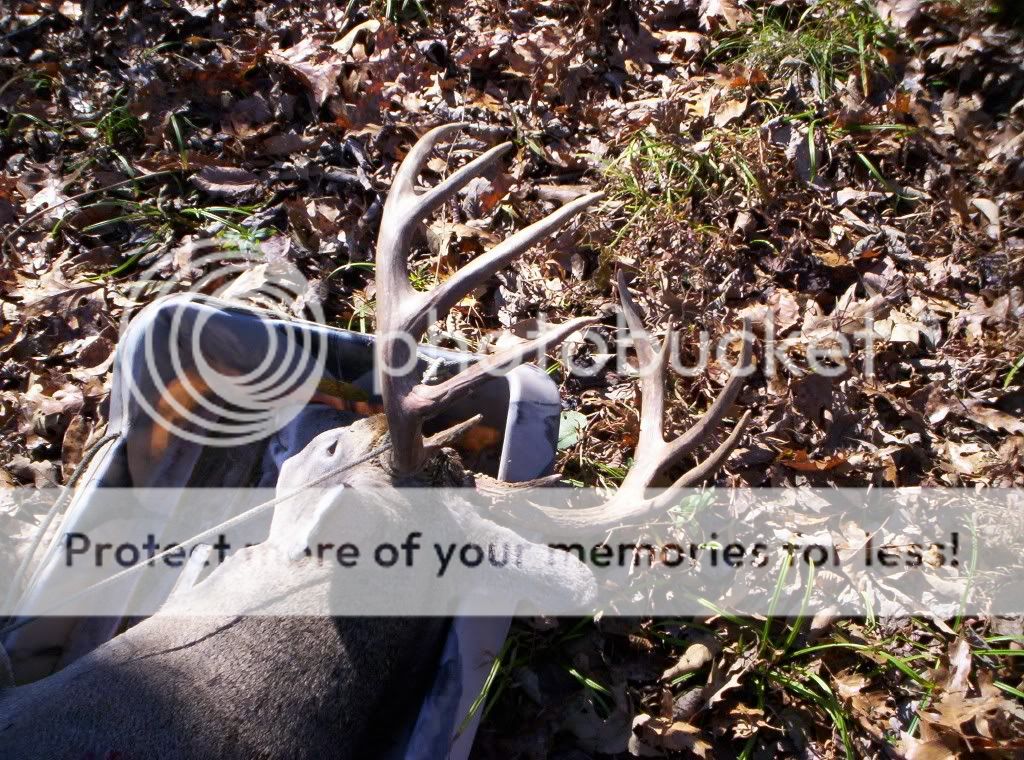 Deer Drag Device? 24hourcampfire