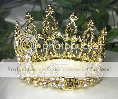 MINI CLEAR RHINESTONE FULL HAIR CROWN TIARA PARTY M279G  